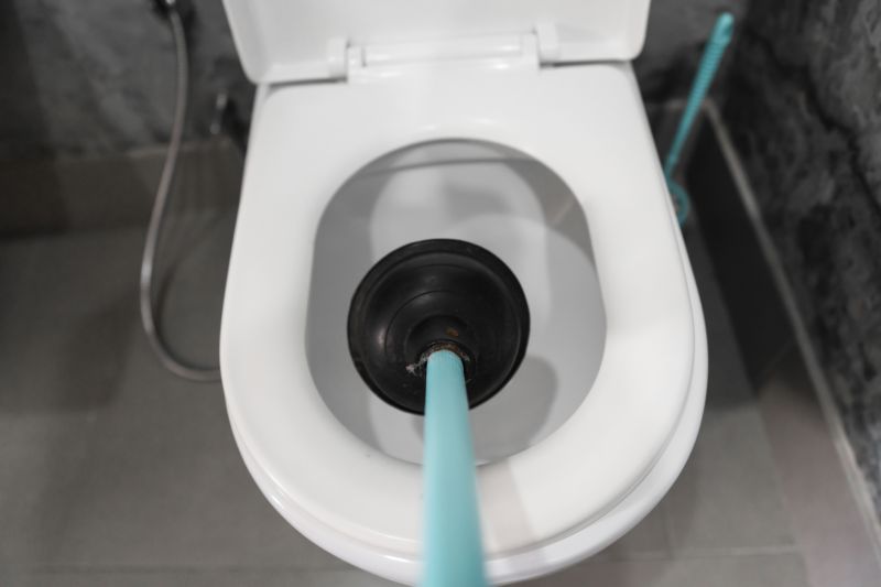 Backed Up Toilet Repair in Denver, CO